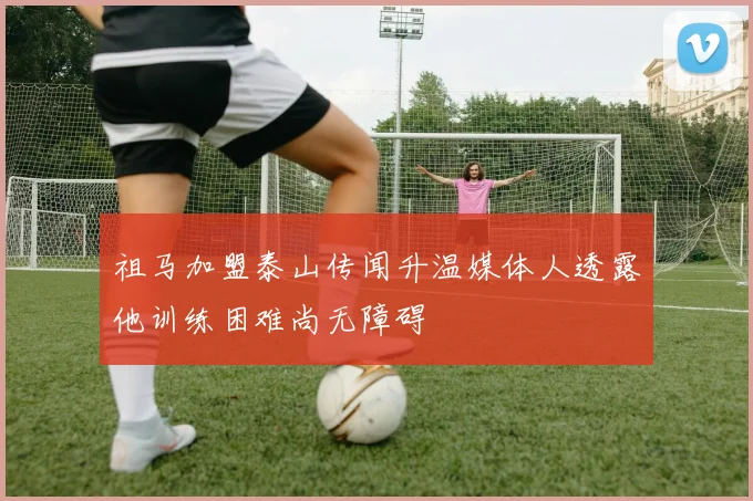 祖马加盟泰山传闻升温媒体人透露他训练困难尚无障碍