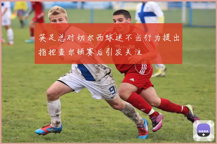 英足总对切尔西球迷不当行为提出指控查尔顿赛后引发关注