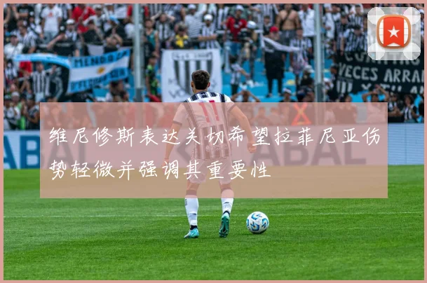 维尼修斯表达关切希望拉菲尼亚伤势轻微并强调其重要性